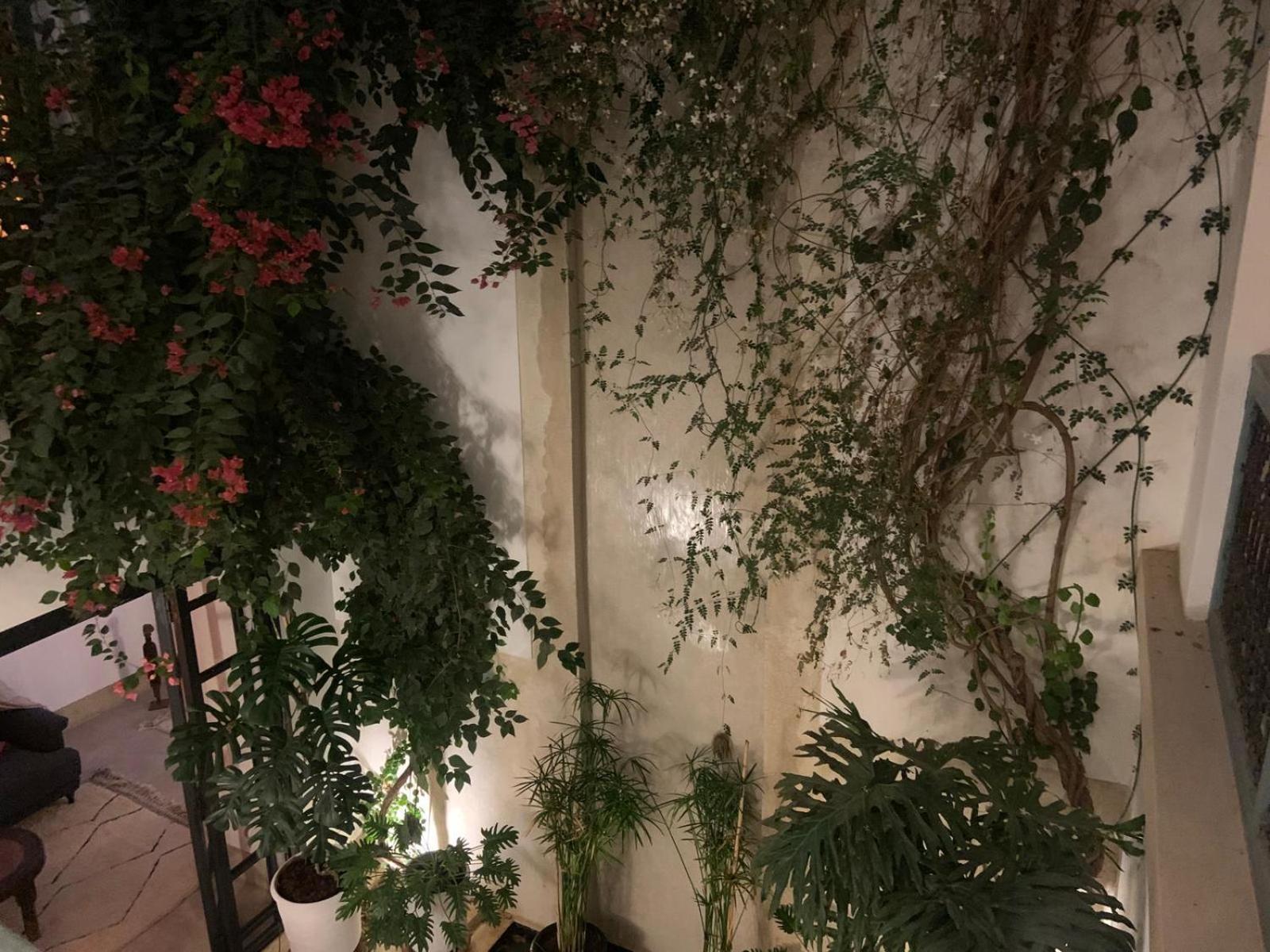 Hotel Le Petit Pacha Marrakesh Exterior foto